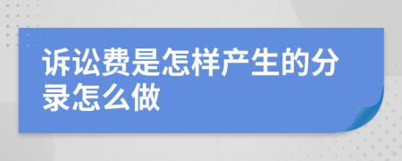 诉讼费是怎样产生的分录怎么做