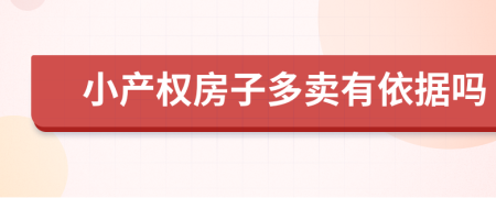 小产权房子多卖有依据吗