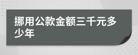 挪用公款金额三千元多少年