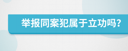举报同案犯属于立功吗？