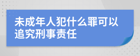 未成年人犯什么罪可以追究刑事责任