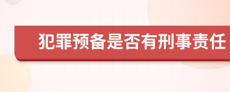 犯罪预备是否有刑事责任