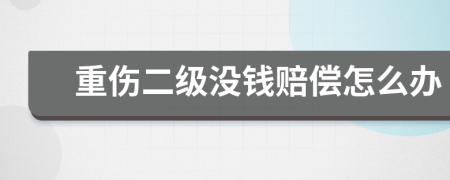 重伤二级没钱赔偿怎么办