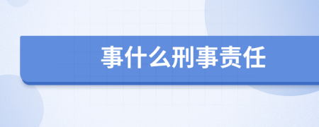 事什么刑事责任