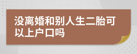 没离婚和别人生二胎可以上户口吗