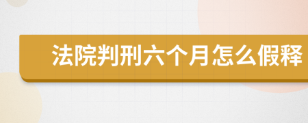 法院判刑六个月怎么假释