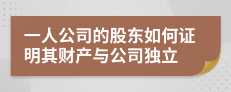 一人公司的股东如何证明其财产与公司独立