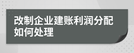 改制企业建账利润分配如何处理