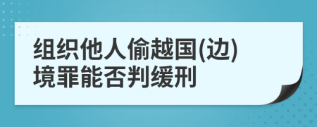 组织他人偷越国(边)境罪能否判缓刑