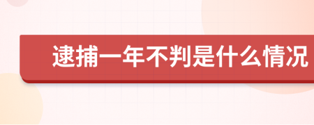逮捕一年不判是什么情况