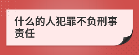 什么的人犯罪不负刑事责任