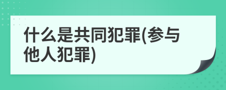 什么是共同犯罪(参与他人犯罪)