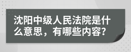 沈阳中级人民法院是什么意思，有哪些内容？