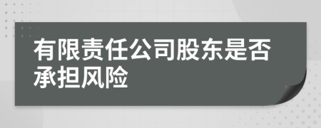 有限责任公司股东是否承担风险