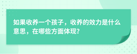 如果收养一个孩子，收养的效力是什么意思，在哪些方面体现？