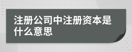 注册公司中注册资本是什么意思