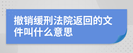 撤销缓刑法院返回的文件叫什么意思