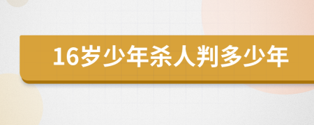 16岁少年杀人判多少年