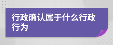 行政确认属于什么行政行为