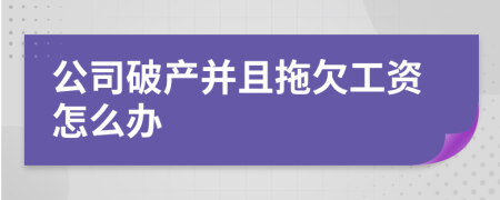 公司破产并且拖欠工资怎么办