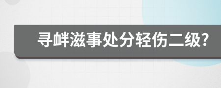 寻衅滋事处分轻伤二级?