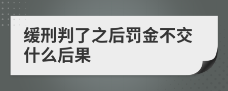 缓刑判了之后罚金不交什么后果