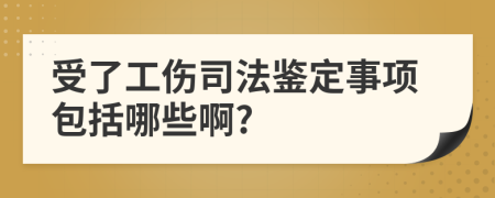 受了工伤司法鉴定事项包括哪些啊?