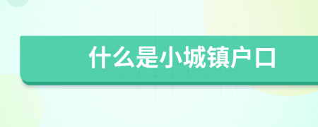 什么是小城镇户口