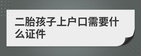 二胎孩子上户口需要什么证件