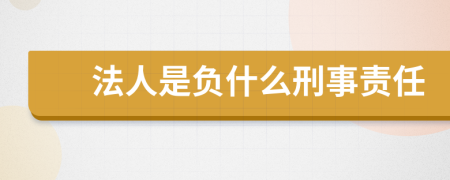 法人是负什么刑事责任