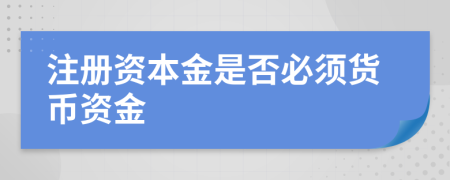 注册资本金是否必须货币资金