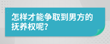 怎样才能争取到男方的抚养权呢？