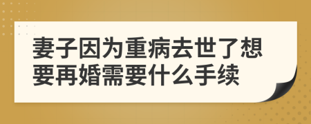 妻子因为重病去世了想要再婚需要什么手续