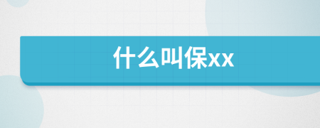 什么叫保xx
