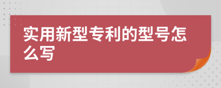 实用新型专利的型号怎么写