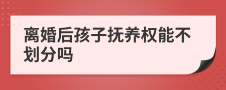 离婚后孩子抚养权能不划分吗