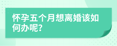 怀孕五个月想离婚该如何办呢？