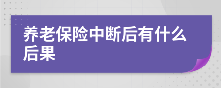 养老保险中断后有什么后果