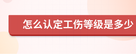 怎么认定工伤等级是多少