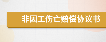 非因工伤亡赔偿协议书