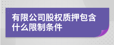 有限公司股权质押包含什么限制条件