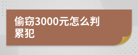 偷窃3000元怎么判累犯