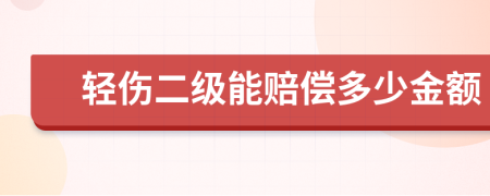 轻伤二级能赔偿多少金额