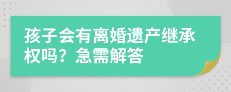 孩子会有离婚遗产继承权吗？急需解答