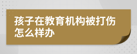 孩子在教育机构被打伤怎么样办