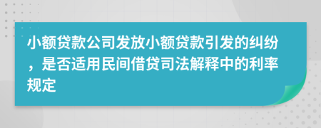 小额贷款公司发放小额贷款引发的纠纷，是否适用民间借贷司法解释中的利率规定