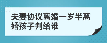 夫妻协议离婚一岁半离婚孩子判给谁