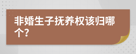 非婚生子抚养权该归哪个？