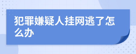 犯罪嫌疑人挂网逃了怎么办