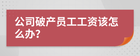 公司破产员工工资该怎么办？